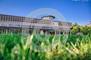 Washington University in St. Louis