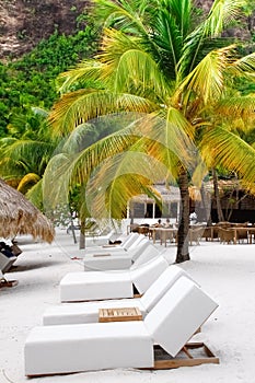 St. Lucia - Row of Lounge Chairs