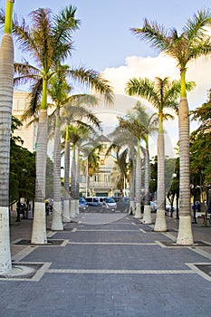 St Maarten tropical island