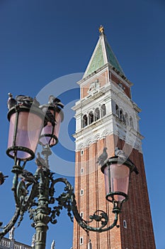 St. Mark's Campanile, Venice, Veneto, Itlay