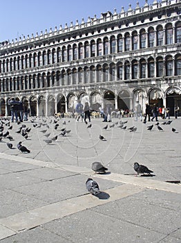 St Marks Square, Venice