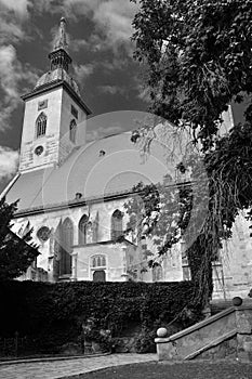 St martin cathedral