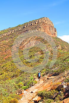 St Mary Peak, Flinders ranges, south australia