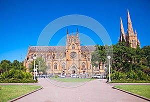 St. Mary`s cathedral in Sydney ,Australia photo