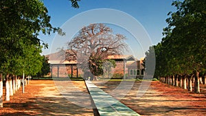 St Maryam Deari chapel, lying in a baobab, Keren, Eritrea photo