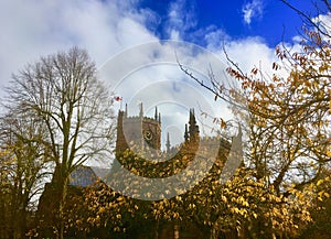 St Marys church and the trees photo