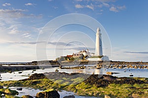 St Marys Lighthouse photo