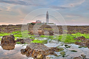 St Marys Lighthouse photo