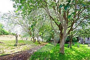 St Michaels Church Burrowbridge Taunton Somerset