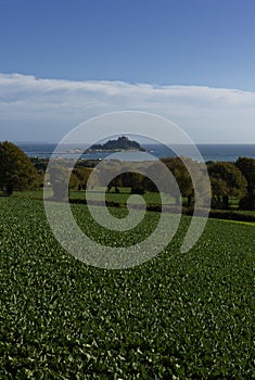 St Michaels Mount from Tremenheere Sculpture Gardens