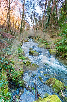 St Nectans Glen