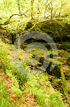 St Nectans Glenn waterfall