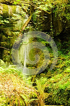 St Nectans Glenn waterfall