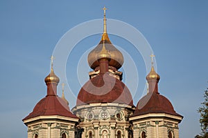 St. Nicholas Bryansk Cathedral, Organ Hall