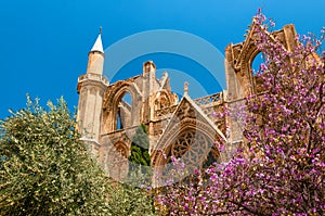 St. Nicholas Cathedral, formerly Lala Mustafa Mosque. Famagusta, Cyprus photo