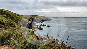 St Nons Head Pembrokeshire South Wales