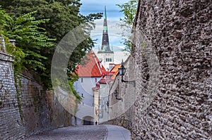 St. Olaf`s church Oleviste kirik in Tallinn old town, Estonia