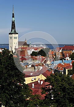 St Olaf's Church Tallinn Estonia in cityscape