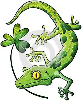 St Paddys Day Gecko photo