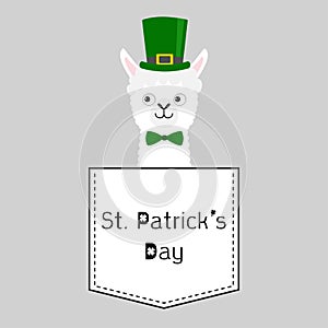 St Patrick Day. Llama alpaca face head in the pocket. Green hat. Cute cartoon animals. Kawaii character. Dash line. White and
