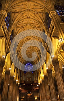 St. Patrick's Cathedral Insides New York City
