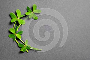 St. Patrick\'s Day background decorated with shamrock leaves. Patrick Day pub party celebrating