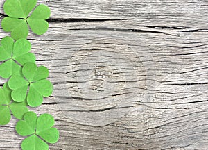 St. Patrick`s Day Background with Green Shamrocks on Wooden Texture