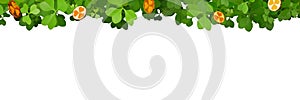 St.Patrick \'s Day. Banner border with green clover leaves and gold coins.