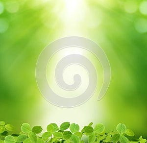 St Patricks day background