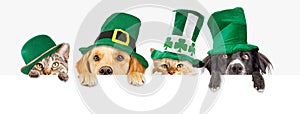 St Patricks Day Dogs and Cats Over Web Banner