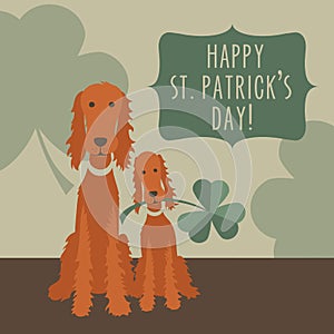 St. Patricks day greeting with funny Irish Setters