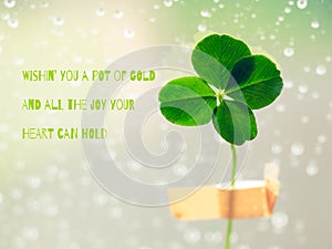 St. Patricks day greeting - inspirational motivation quote