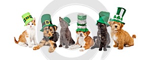 St Patricks Day Puppies and Kittens