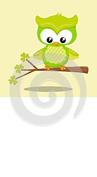 st patrik owl sitting 03 photo