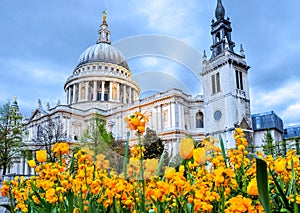 St. Paul`s Cathedral at sunset, London, UK