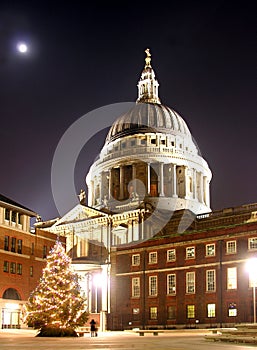 St Paul's Christmas Tree