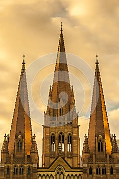 St Pauls Cathedral in Melbourne on a golden glow