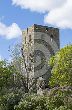 St Per church ruin Sigtuna