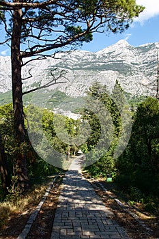 St. Peter Forest Park in Makarska.