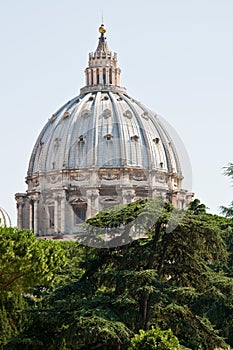 St. peters basilica