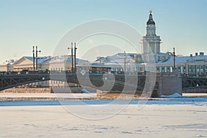 St. Petersburg, Cabinet of curiosities photo