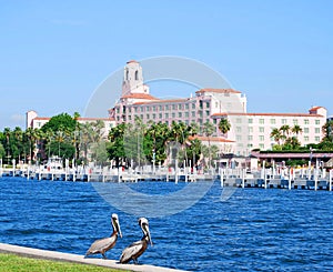 St. Petersburg, Florida Waterfront photo