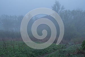 St. Petersburg, Peterhof at dawn in the summer in the fog. Thick white fog. The forest and the house in the fog. A thoughtful, hea