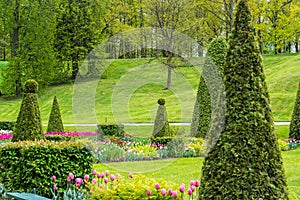 St. Petersburg, Russia - June 3 2017. Flower parterre in front of large cascade fountain