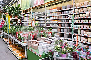 ST. PETERSBURG, RUSSIA - MARCH, 2019: Plants in an Intratuin garden store