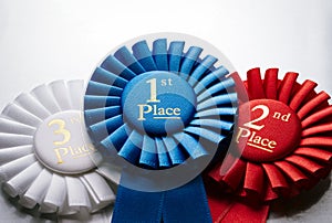 1st place winners rosette or badge photo