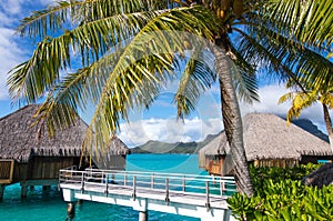 St regis bora bora over water overwater bungalows