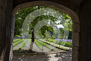 St Remy de Provence, Bouches du Rhone, France, 11.05.2019. Yard in  the monastery of St. Paul de Mausole