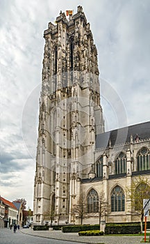 St. Rumbold`s Cathedral, Mechelen, Belgium