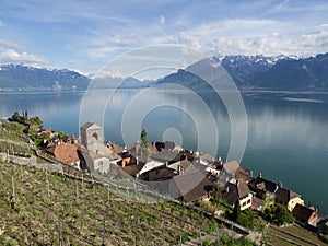 Saint-Saphorin in Spring